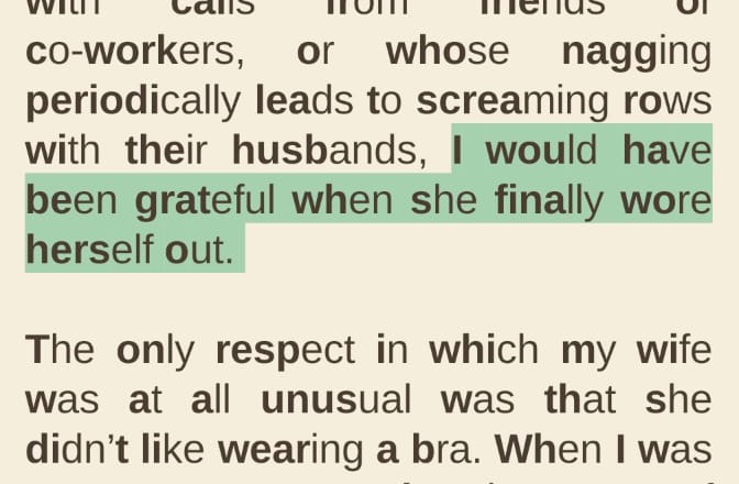 A highlighted passage in BookSkim
